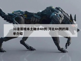 31省新增本土确诊48例:河北46例的简单介绍