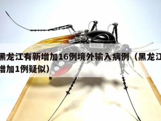 黑龙江有新增加16例境外输入病例（黑龙江增加1例疑似）