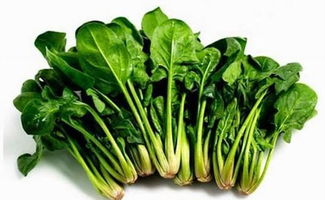 菲律宾菠菜网最新版本V19.13.228.278苹果版本-好用